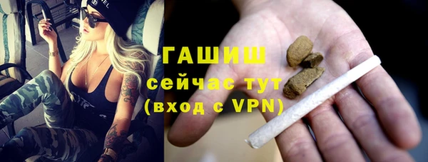 сатива Верея