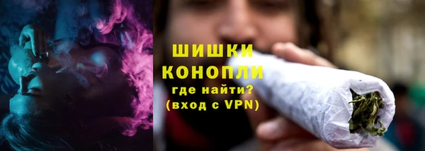 сатива Верея