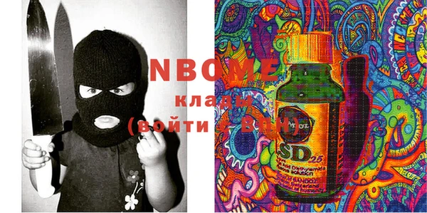 сатива Верея