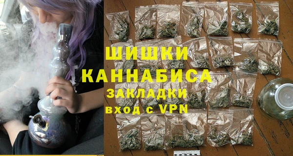 сатива Верея