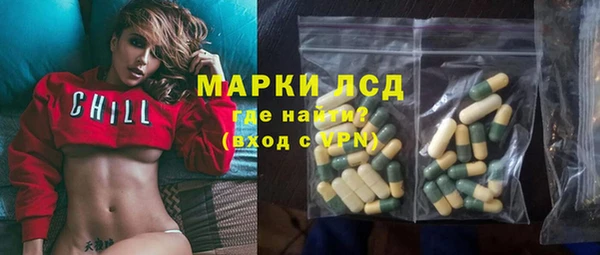сатива Верея