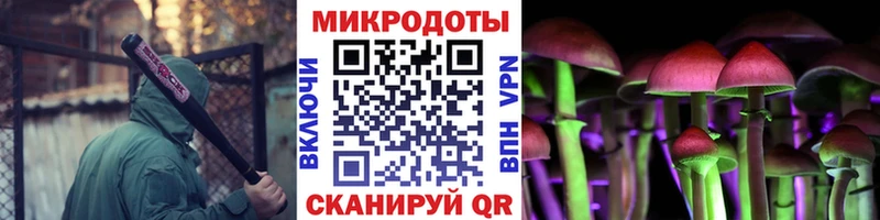 Псилоцибиновые грибы мицелий  Бугуруслан 